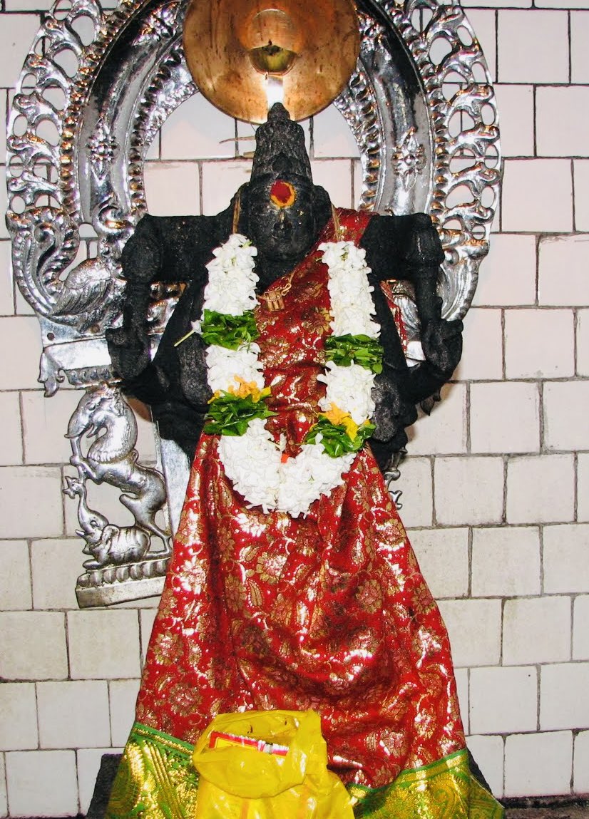 Goddess Shankari Devi Dhyana Rupa